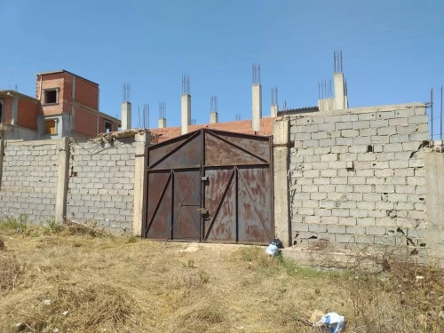 Vente Terrain Blida Meftah