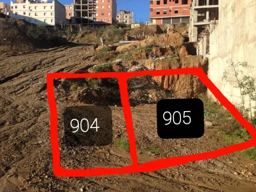 Vente Terrain Alger Beni messous