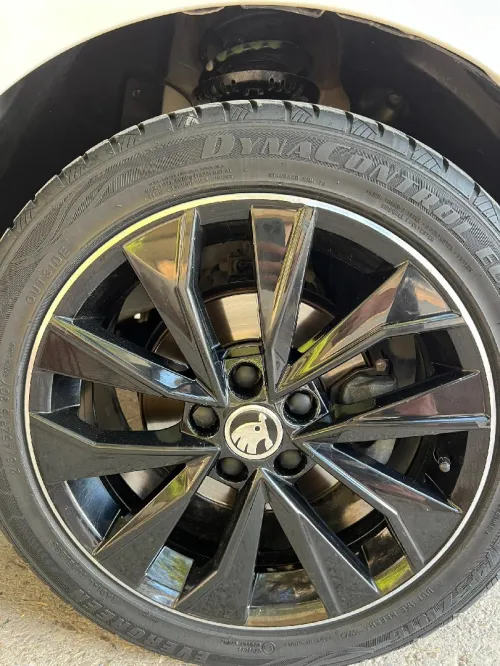 Skoda Fabia 2020 Monte Carlo
