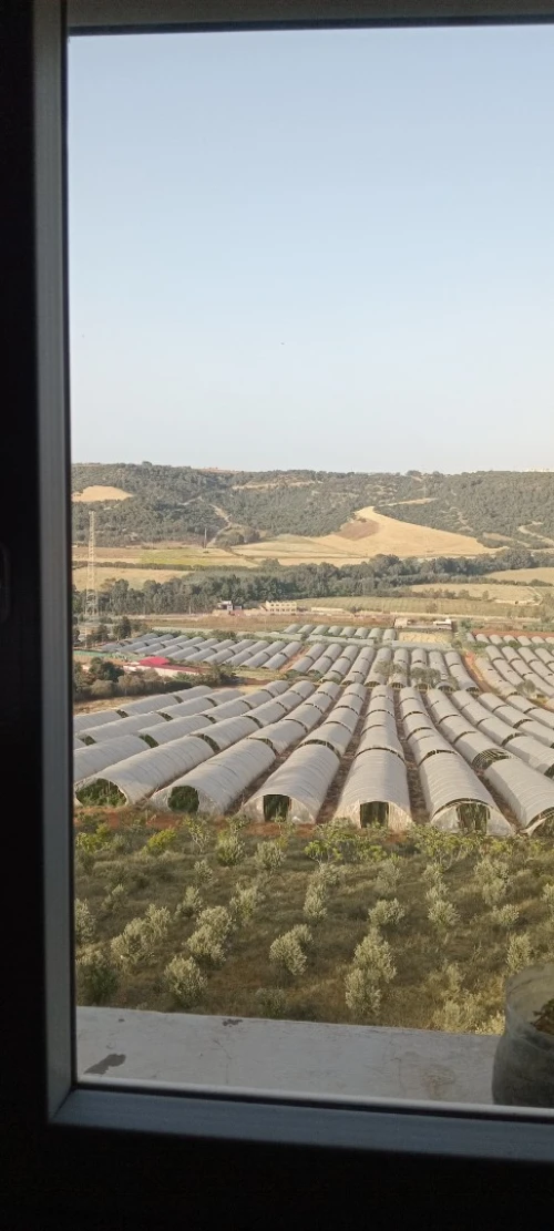 Vente Appartement F3 Tipaza Douaouda