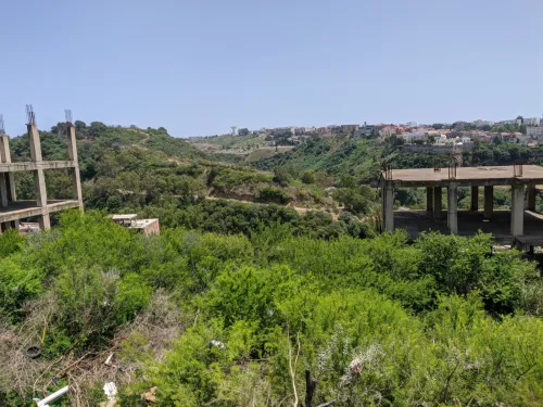 Vente Terrain Alger Beni messous
