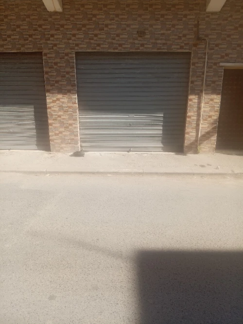 Location Local Tipaza Fouka