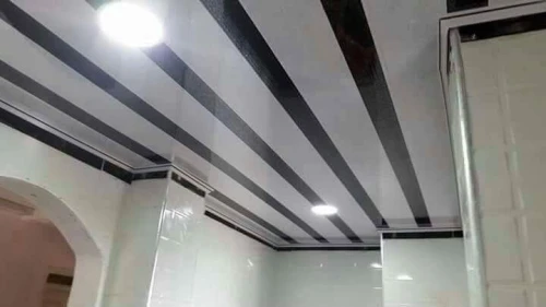 faux plafond pvc & spots