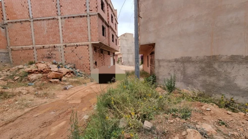 Vente Terrain Tlemcen Mansourah