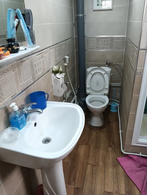 Location Appartement Alger Sidi mhamed
