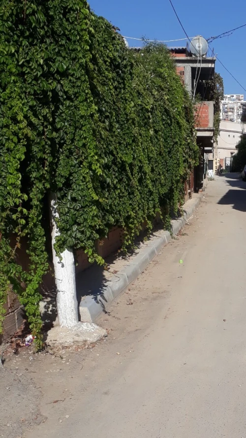 Location Local Tipaza Cherchell