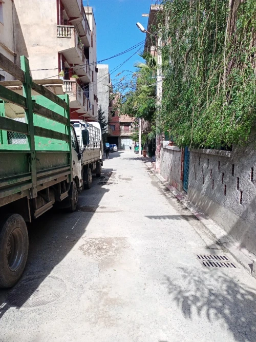 Vente Terrain Alger Les eucalyptus