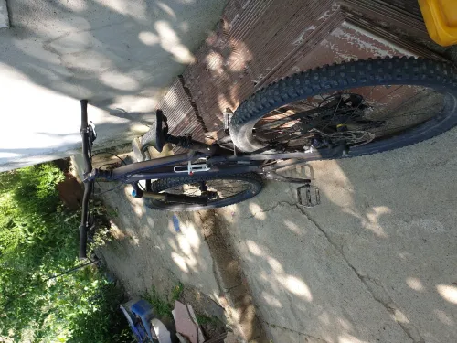 Canyon nerve al 2016