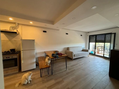 Location Appartement F2 Alger El achour
