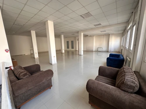 Location Local Alger Alger centre