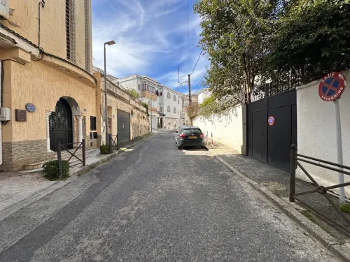Location Local Alger Alger centre