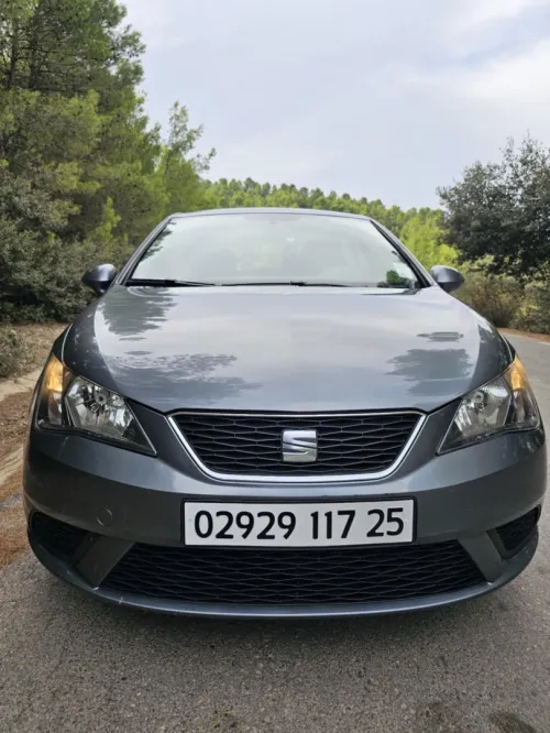 Seat Ibiza 2017 Sol