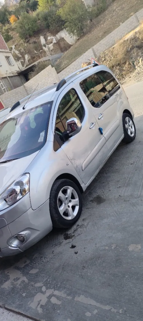 Peugeot Partner 2010 Tepee