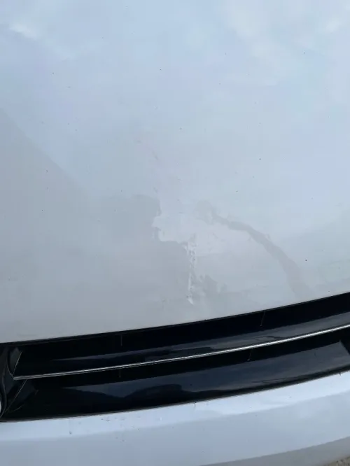 Volkswagen Polo 2014 Life