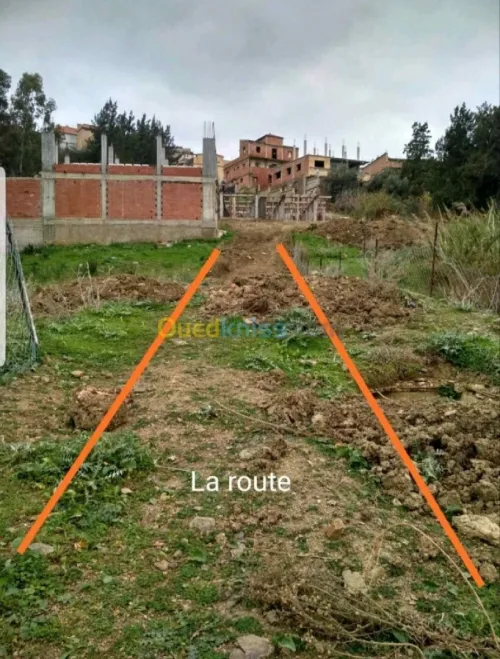 Vente Terrain Tipaza Cherchell