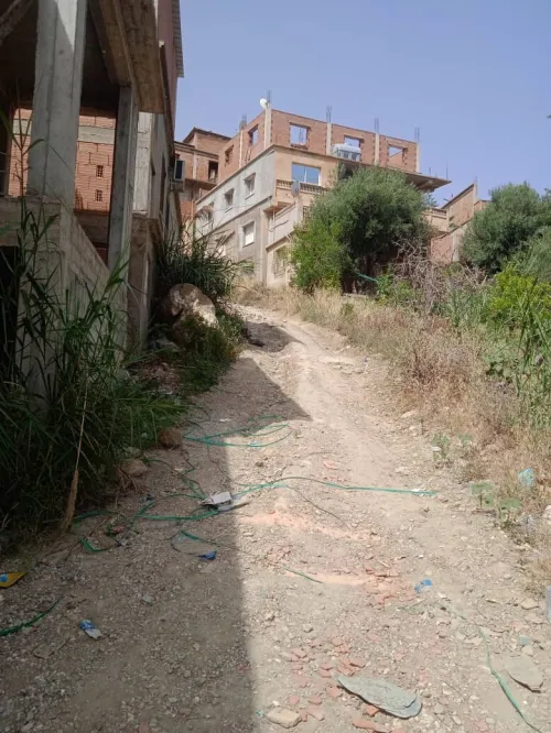 Vente Terrain Tipaza Cherchell