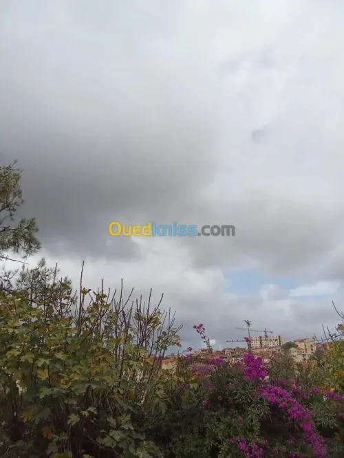 Vente Villa Alger Bouzareah