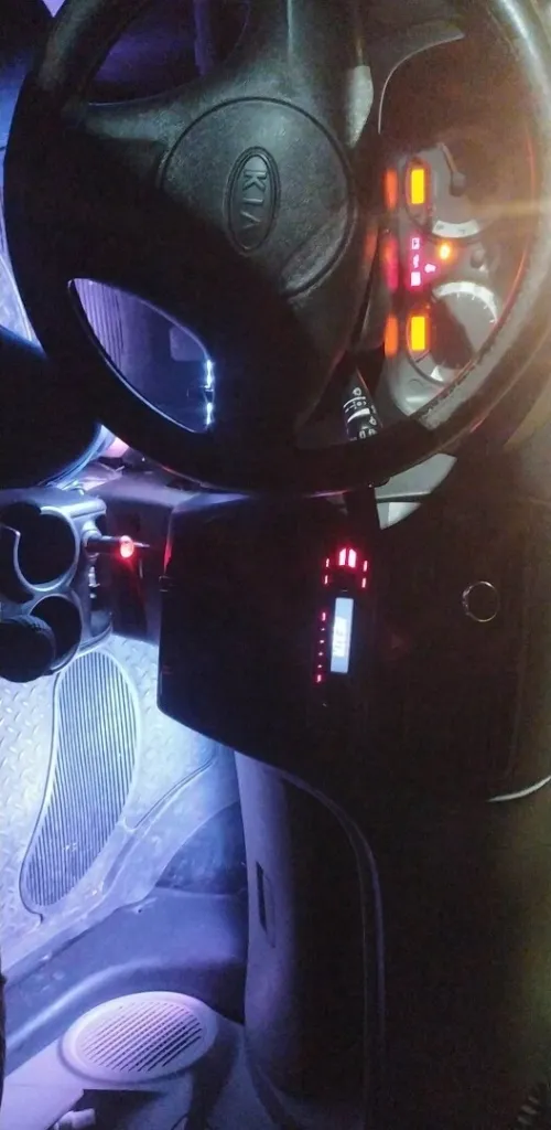 Kia Picanto 2010 Fanny