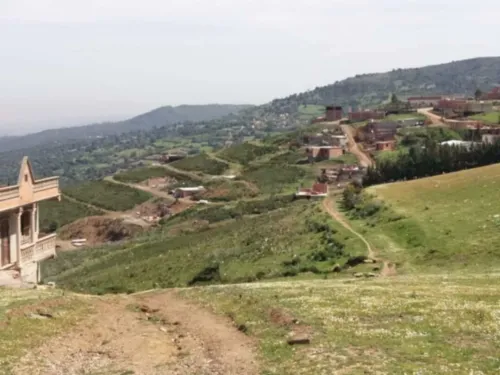 Vente Terrain Blida Djebara