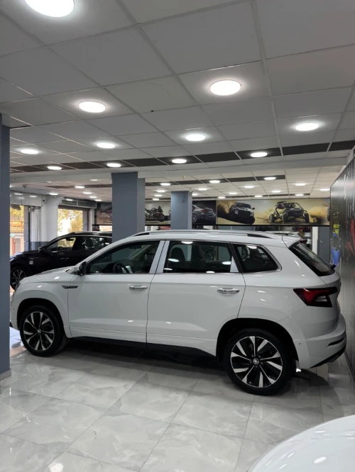Skoda Karoq 2025 