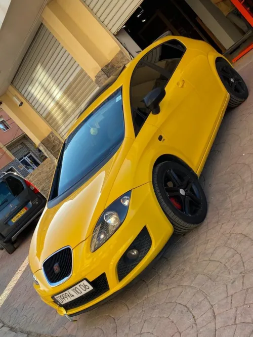 Seat Leon 2010 Fully