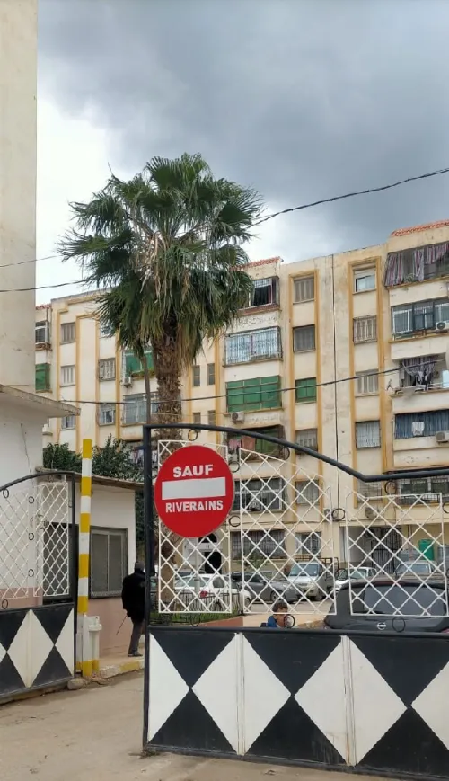 Vente Appartement F3 Blida Chiffa