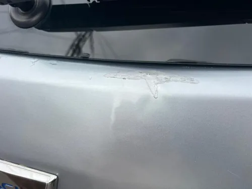 Dacia Sandero 2019 Sandero