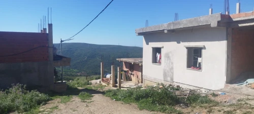 Vente Terrain Blida Meftah