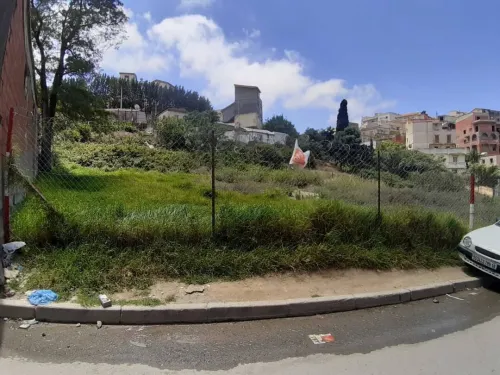 Vente Terrain Alger Bouzareah