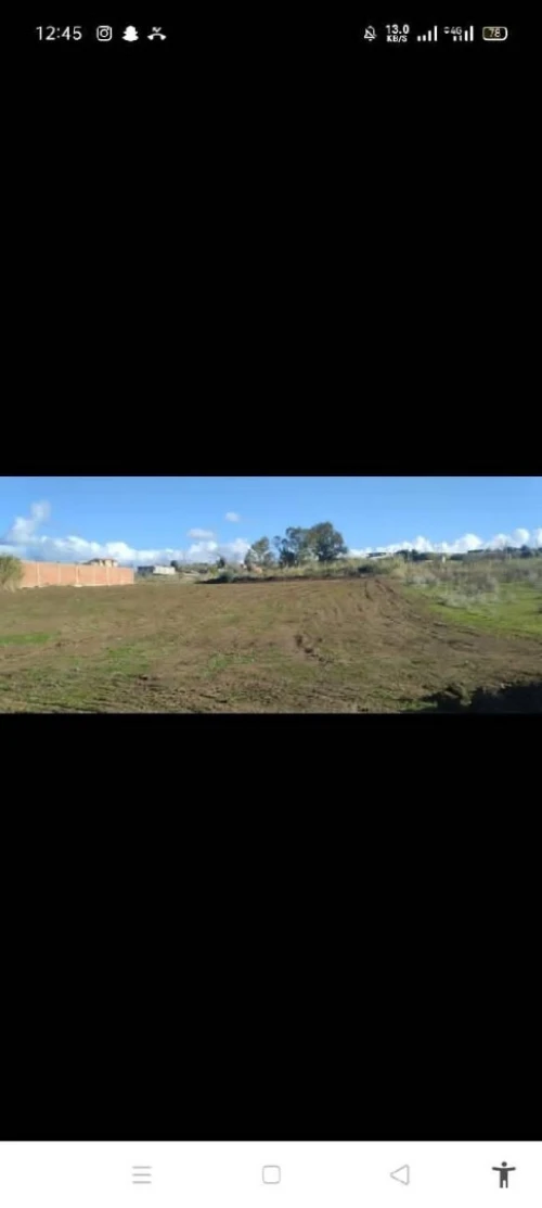 Vente Terrain Boumerdès Zemmouri