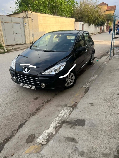 Peugeot 307 2007 Oxygo
