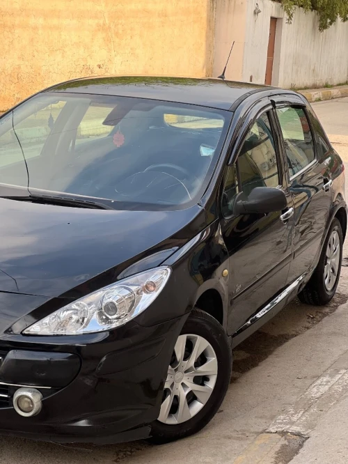 Peugeot 307 2007 Oxygo