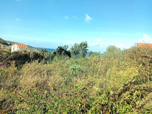 Vente Terrain Tizi Ouzou Tigzirt