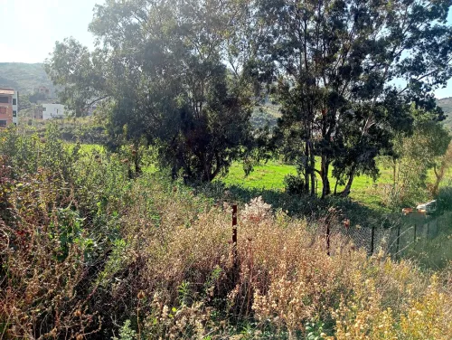 Vente Terrain Tizi Ouzou Tigzirt