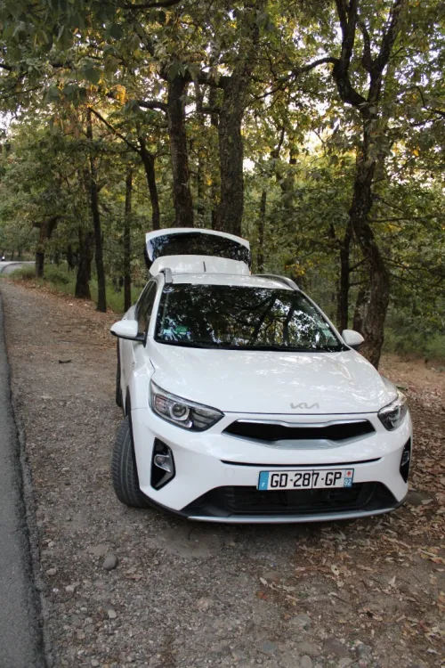 Kia Stonic 2021 2021