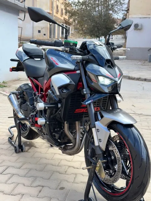 Kawasaki Z900 2025