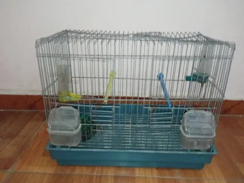 Cage de oiseaux 