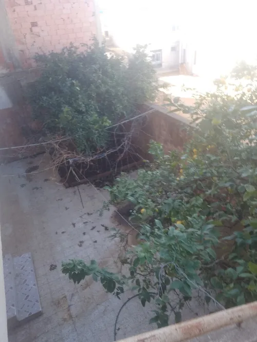 Vente bien immobilier Mostaganem Achaacha