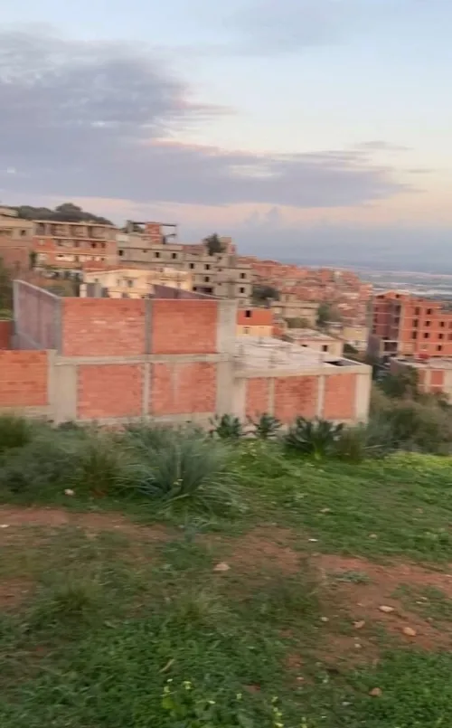 Vente Terrain Alger Saoula