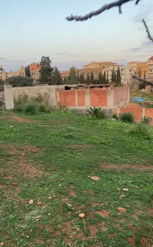 Vente Terrain Alger Saoula