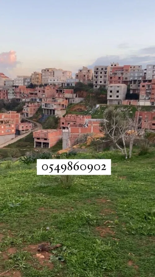 Vente Terrain Alger Saoula