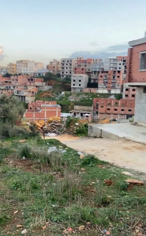 Vente Terrain Alger Saoula