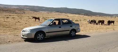 Hyundai Accent 2008 Accent