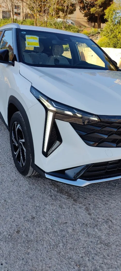 Geely Starray 2025 
