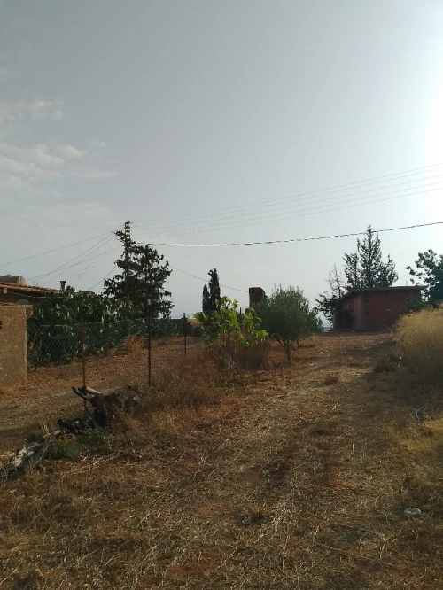 Vente Terrain Agricole Mascara Hachem