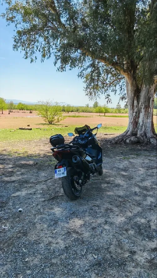 Tmax 560 2024