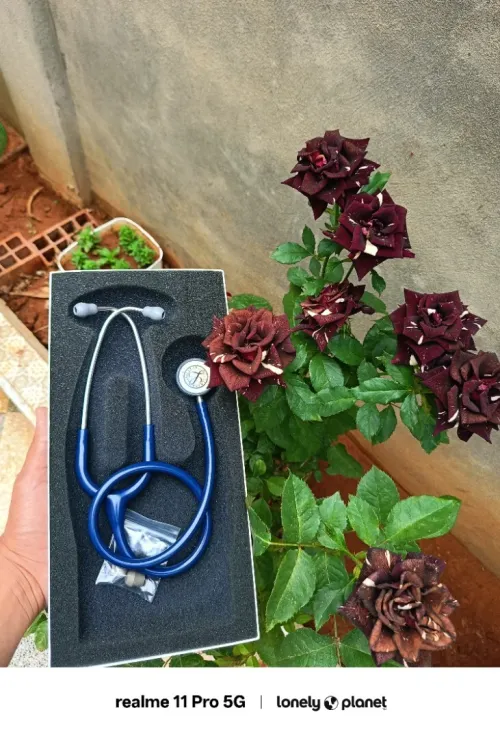 Stéthoscope Littmann pédiatrique