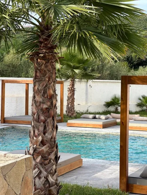 Location vacances Appartement F3 F4 Tizi Ouzou Tigzirt