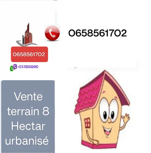 Vente Terrain Alger Sidi moussa
