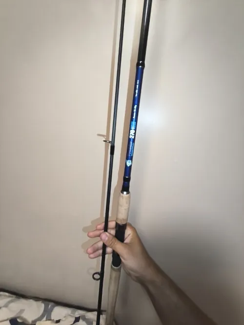 Canne à pêche Spinning